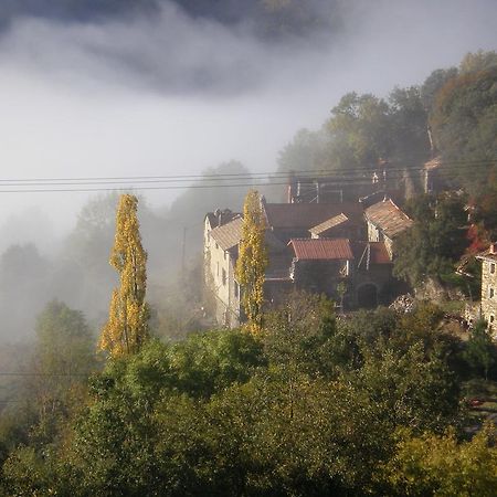 Mas La Donzelenche Hotel Vialas Szoba fotó
